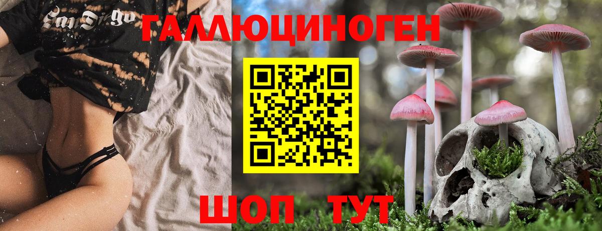 Псилоцибиновые грибы MAGIC MUSHROOMS  закладки  Вход с VPN  Кировск  Галлюциногенные грибы прущие грибы 