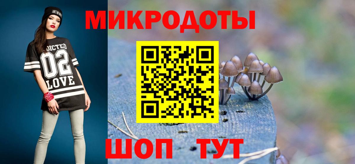 Псилоцибиновые грибы Cubensis Кировск